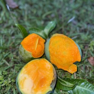 গোবিন্দভোগ-20kg