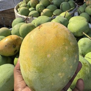 গোবিন্দভোগ-১০kg